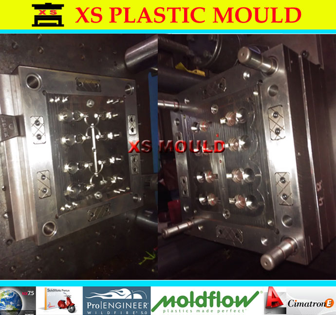 flip top cap mould