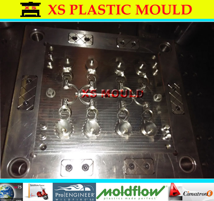 flip top cap mould