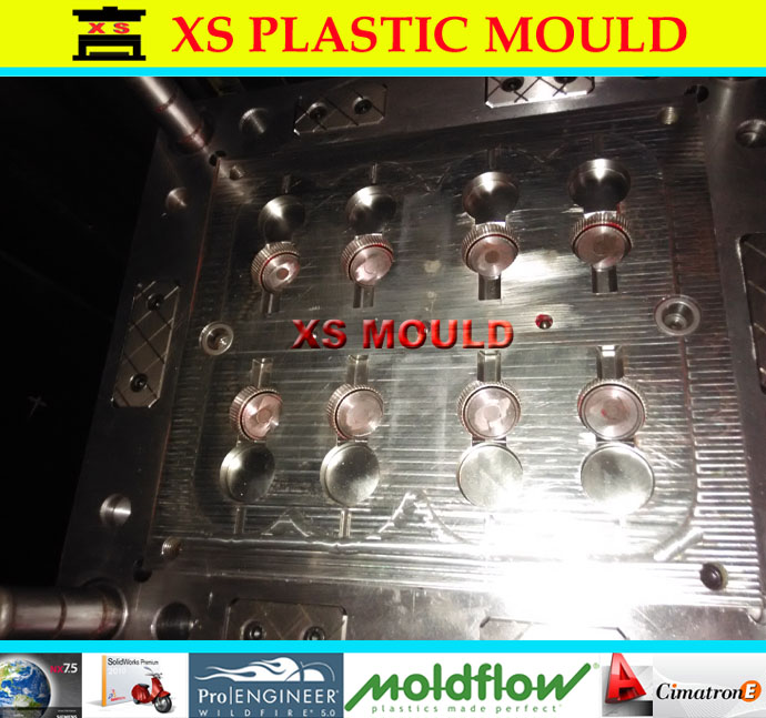 flip top cap mould