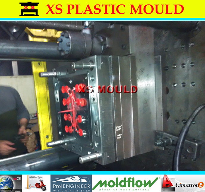 flip top cap mould