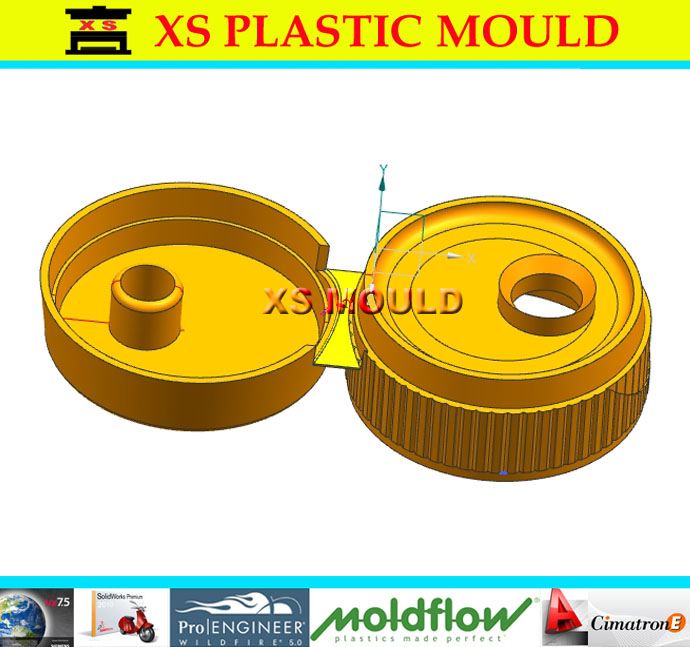 flip top cap mould