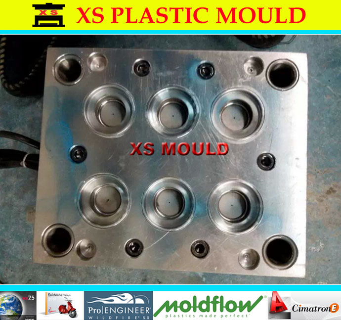 mould