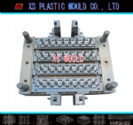 PET preform mould