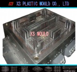 Tray mould