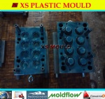 Plastic cap mould