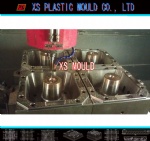 Bucket lid mould