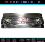 Auto grille mould