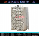 Cap mould