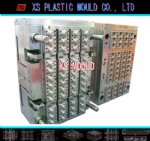 Cap mould