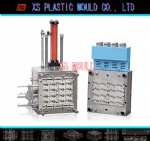 Cap mould