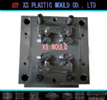 Cap mould