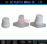 Cap mould