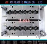 Cap mould