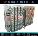 Cap mould